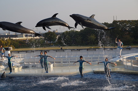 京都水族館