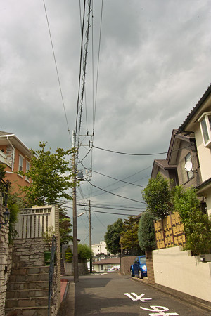 SDIM2088