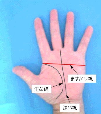 ますかけ線の見方 ますかけ線の見方