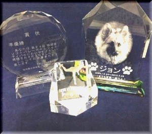 盾　クリスタル500