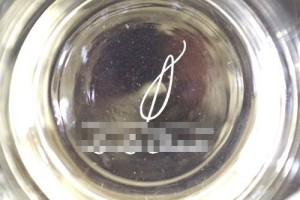 森 翔太様ロックグラス7