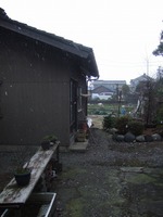 2009_0109071003tonai0024
