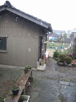 2009_0111071003tonai0024