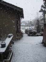 2009_0111071003tonai0026
