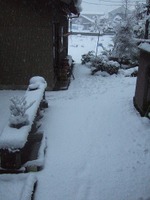 2009_0111071003tonai0050