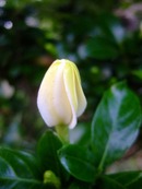2009_0613071003tonai0019_2