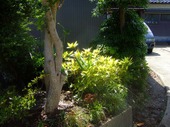 2009_0621071003tonai0024