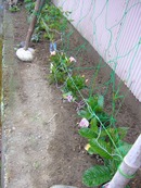 2009_0621071003tonai0013