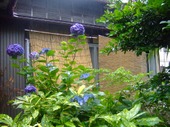 2009_0622071003tonai0019