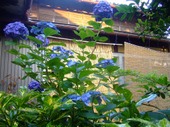 2009_0626071003tonai0015