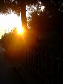 2009_0626071003tonai0017