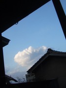 2009_1115071003tonai0005