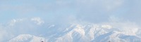 2010_0117071003tonai0014