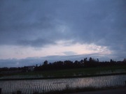 2010_0531071003tonai0012 2010_0531071003tonai0012