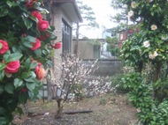 2011_0408071003tonai0050
