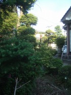 2011_0520071003tonai0036