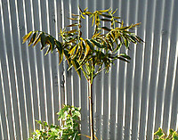 Img_20120427_1713021 Img_20120427_1713021