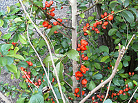 Img_20120421_1715441