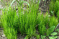 Img_20120425_16502611