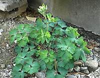 Img_20120427_1709381