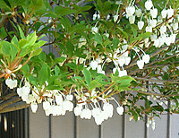 Img_20120427_1712061