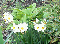 Img_20120427_1714551