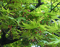 Img_20120427_1718521