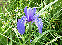 Img_20120525_16440111