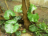 Img_20120525_16445811