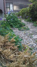 1524910032848136 1524910032848136