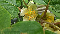 1526617875154344 1526617875154344