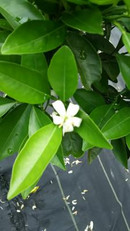 1526618022889717 1526618022889717