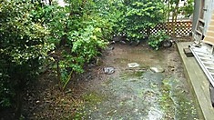 1536544361139192 1536544361139192