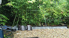 1536561157748603 1536561157748603