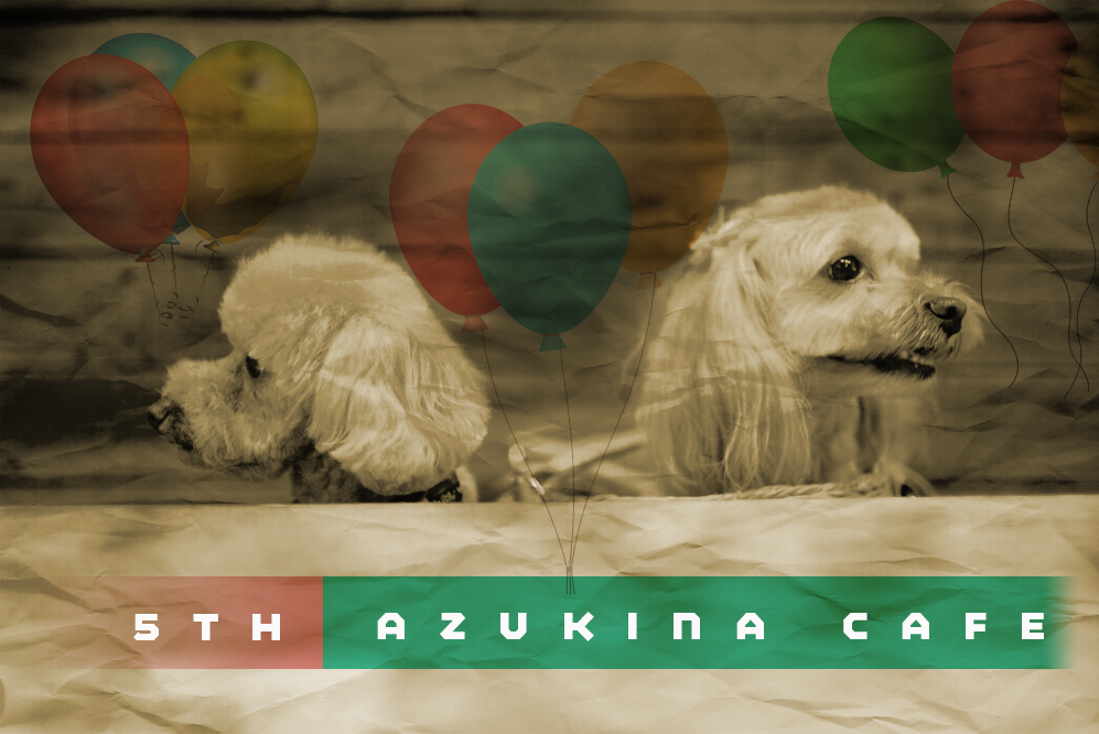 Azkina 5th
