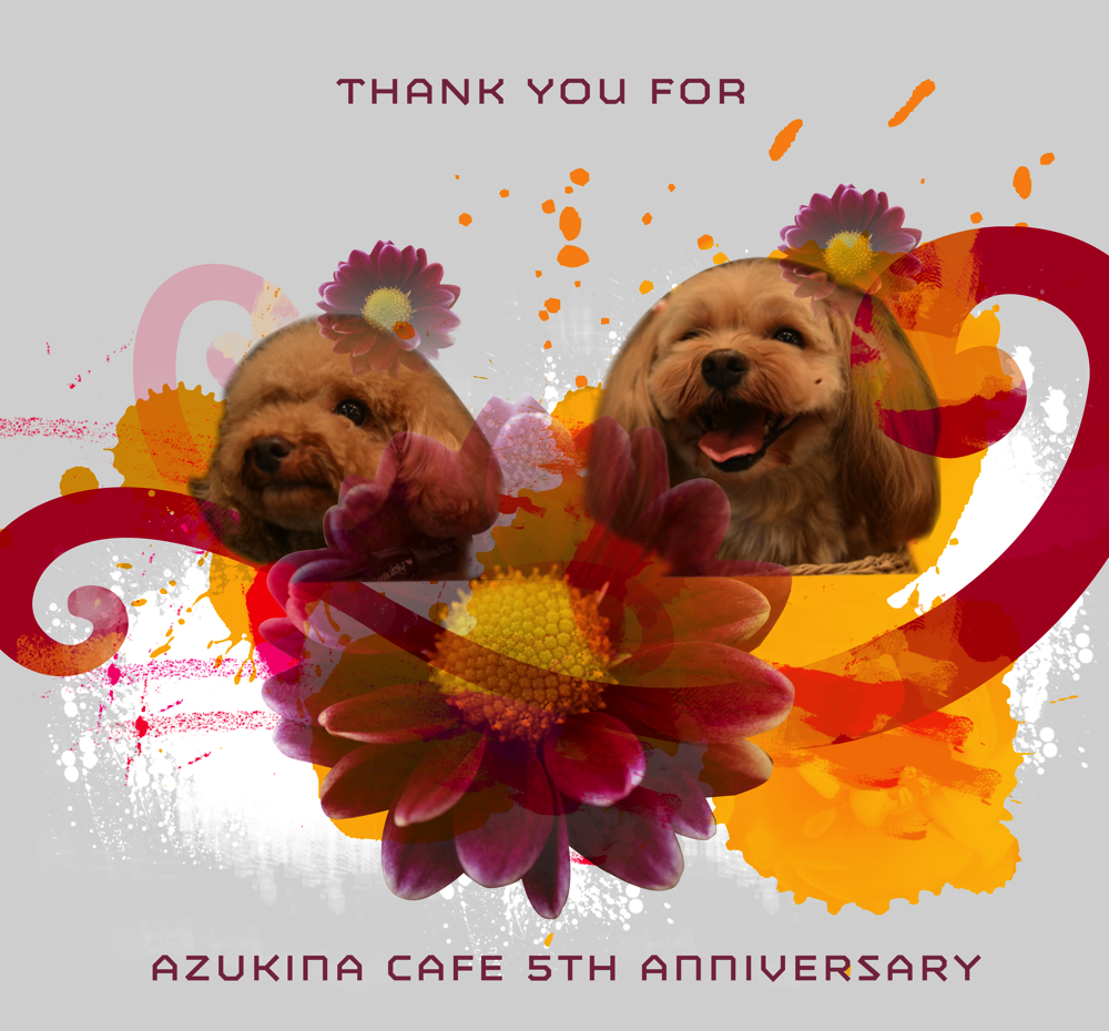 Azukina5thtahnkyou