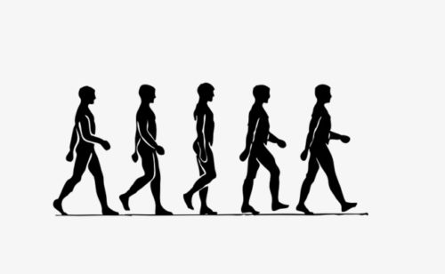 7f6b8d5772659e7cd3eab176cfc48402