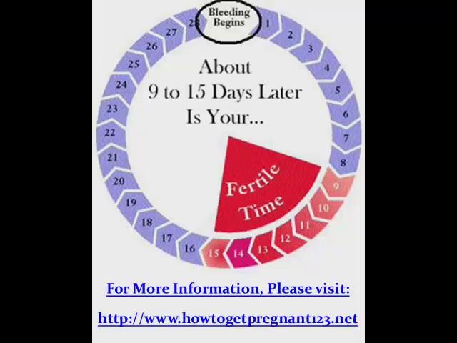 Hear a Heart Beat in Pregnancy - Pregnancy.
