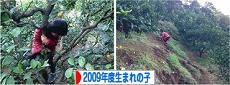 にほんブログ村 子育てブログ 2009年4月～10年3月生まれの子へ