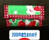 にほんブログ村 子育てブログ 2009年4月～10年3月生まれの子へ