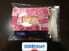 にほんブログ村 子育てブログ 2009年4月～10年3月生まれの子へ