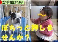 にほんブログ村 子育てブログ 2010年4月～11年3月生まれの子へ