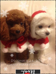 にほんブログ村 子育てブログ 2012年4月~13年3月生まれの子へ