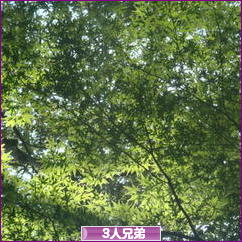 にほんブログ村 子育てブログ 3人兄弟へ