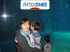 にほんブログ村 子育てブログ バイリンガル育児へ