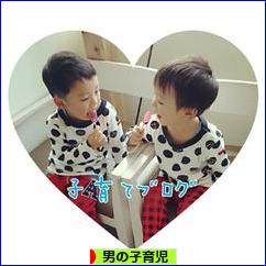 にほんブログ村 子育てブログ 男の子育児へ