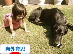 にほんブログ村 子育てブログ 海外育児へ