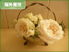 にほんブログ村 子育てブログ 海外育児へ