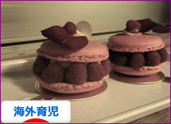 にほんブログ村 子育てブログ 海外育児へ