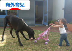 にほんブログ村 子育てブログ 海外育児へ